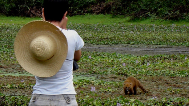 Hotel Fazenda Barra Mansa - animais