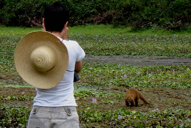 Hotel Fazenda Barra Mansa - animais