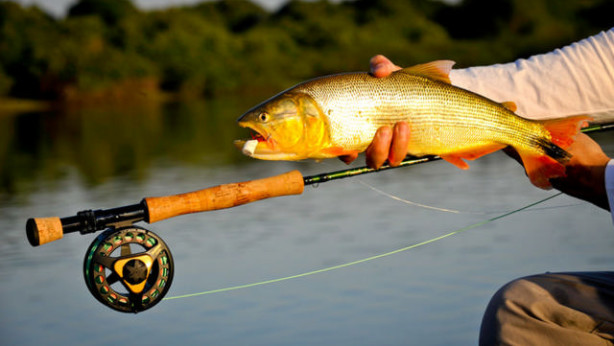 Pantanal Barra Mansa - pescando dourado no rio