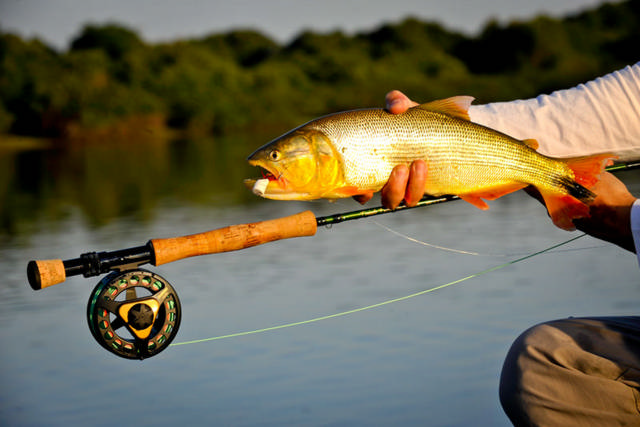 Pantanal Barra Mansa - pescando dourado no rio