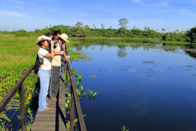 San Francisco pantanal rio miranda