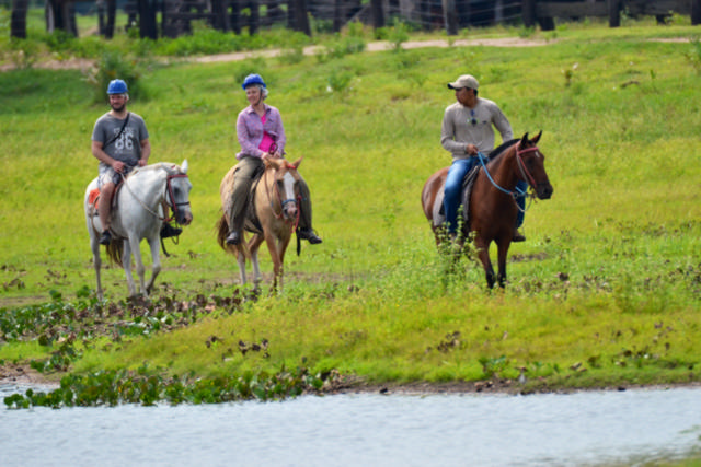 PANTANAL JUNGLE LODGE CAVALGADA