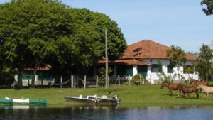 pantantal hotel fazenda barra mansa