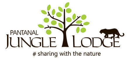 hotel jungle lodge logo indice