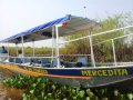 passeio de barco e chalana no pantanal