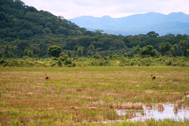 serra bodoquena