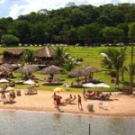 cardumes de peixes coloridos bonito transparente rio da cidade